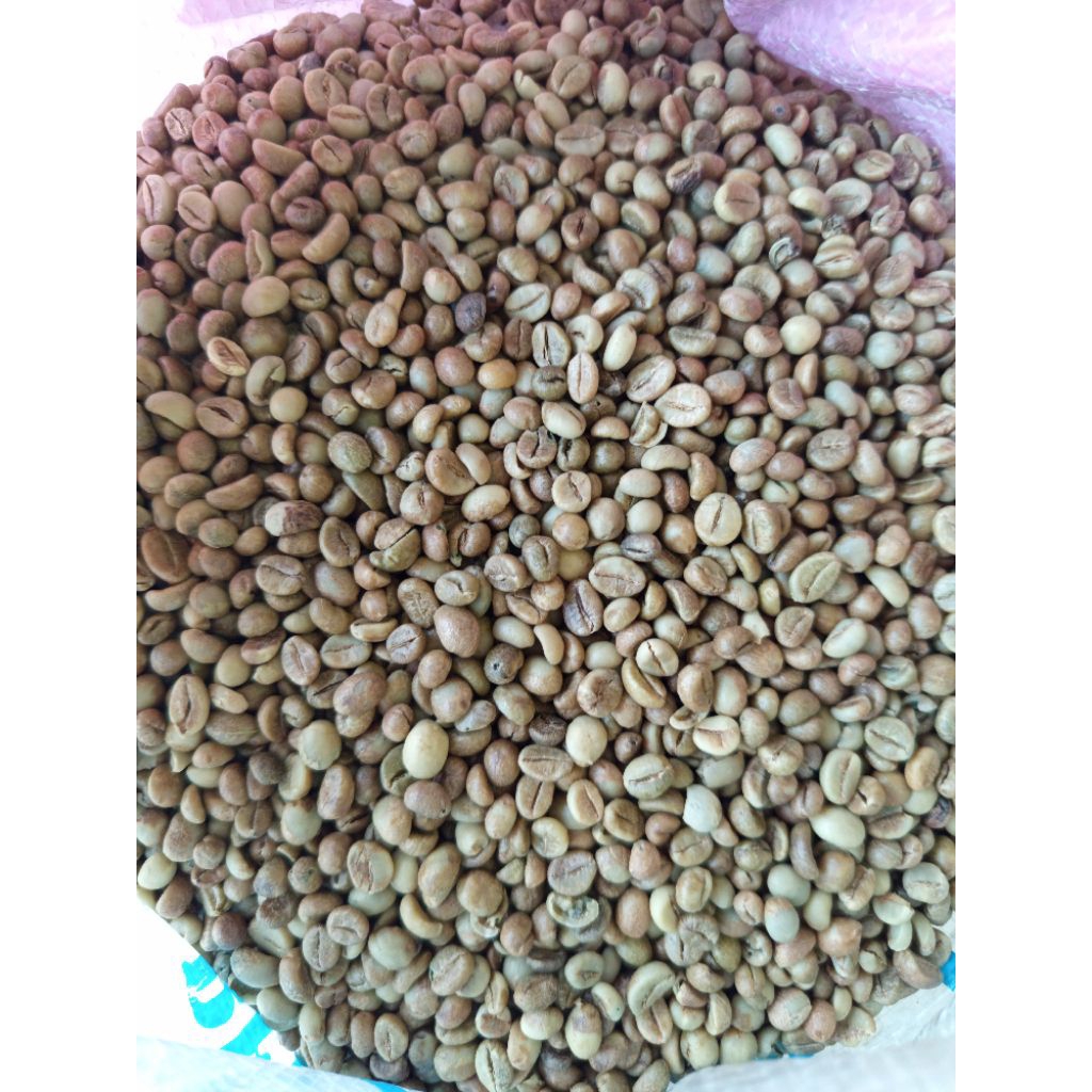 

biji kopi robusta mentah