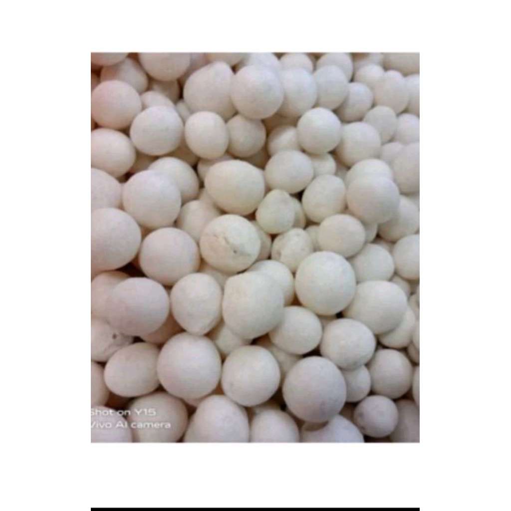 

Kacang sanghai Sukro 1kg