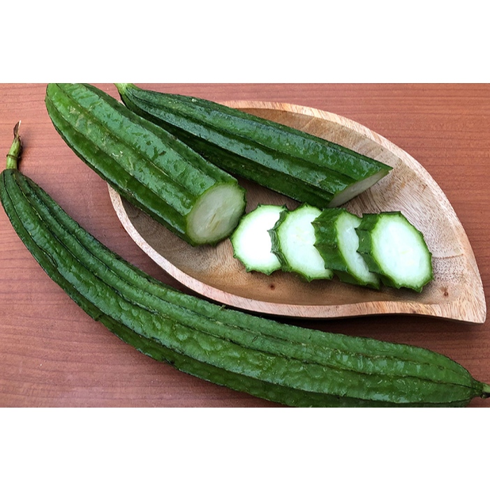 3 Benih Oyong Gambas / Bibit Gambas termurah