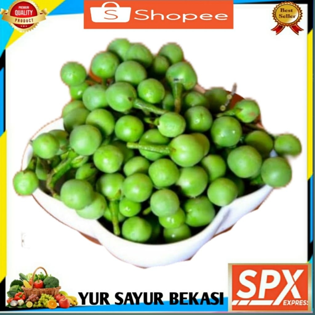 

Tekokak Segar 250gr.