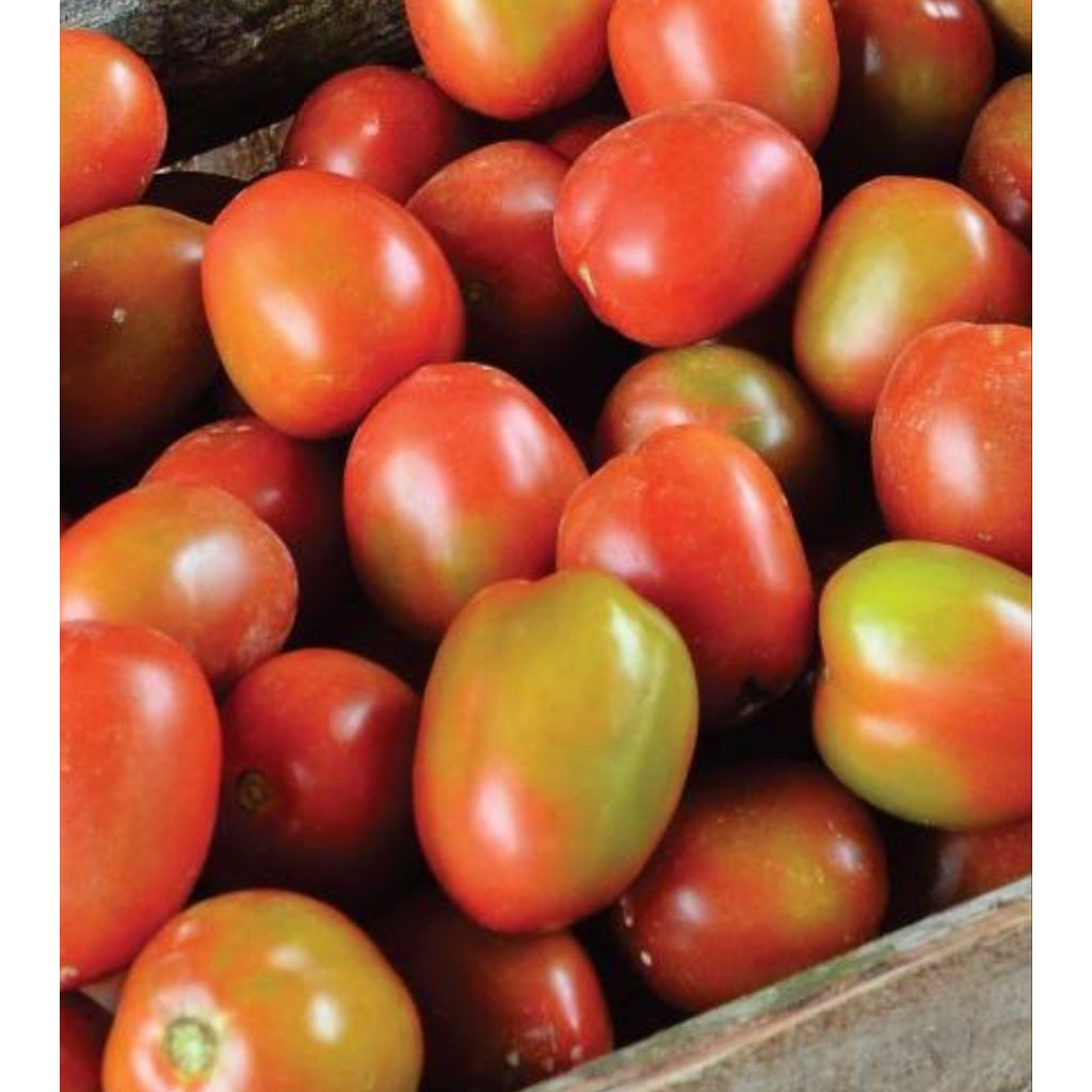 

Tomat Merah A,B 500gram