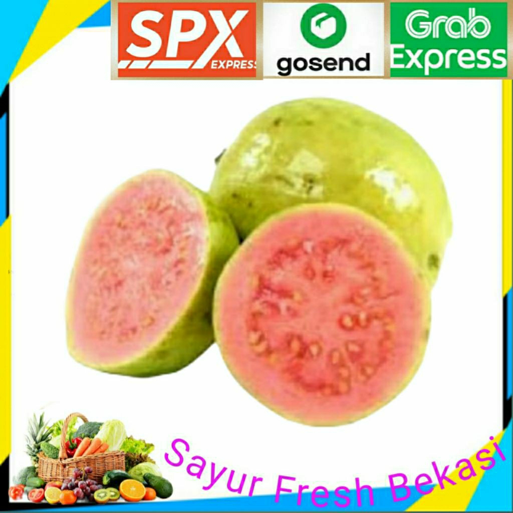 

Jambu Biji Merah 1kg.