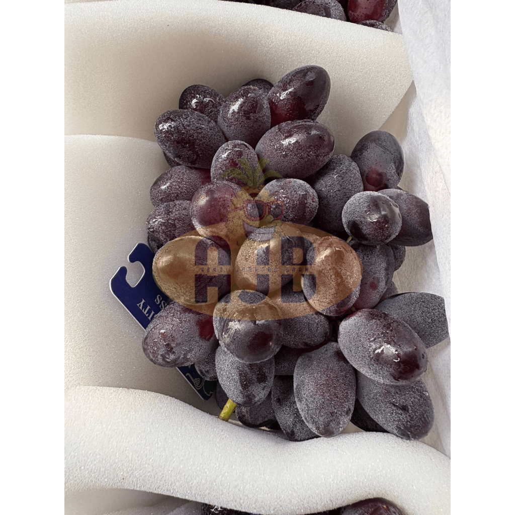 

Anggur Autum Import Muanis