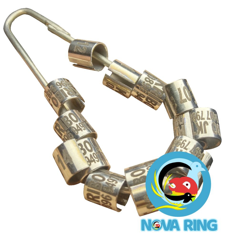 RING MERPATI BAJA LASER BELAH UNTUK MERPATI DEWASA