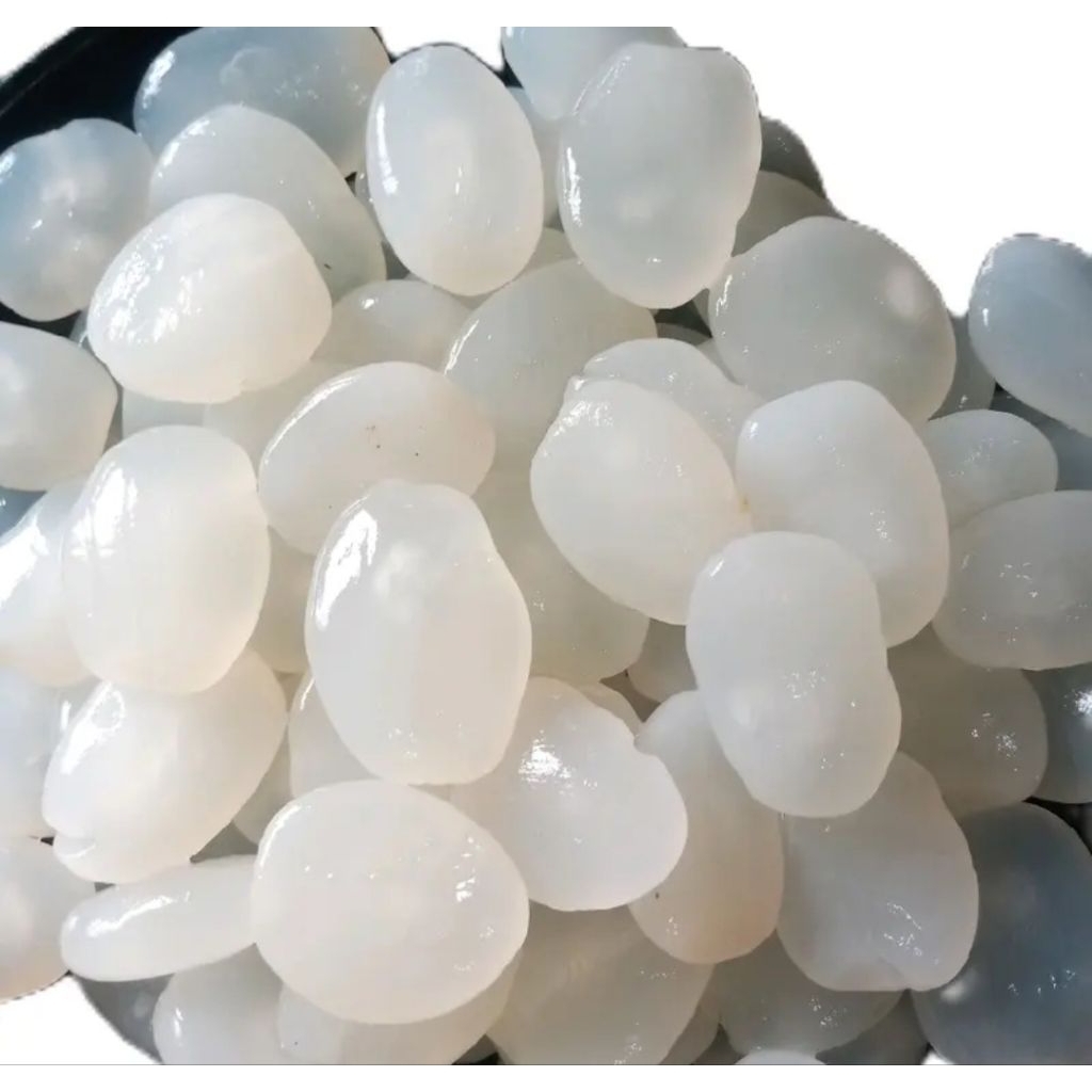 

kolang kaleng buah aren si legit manisan termurah terbaik