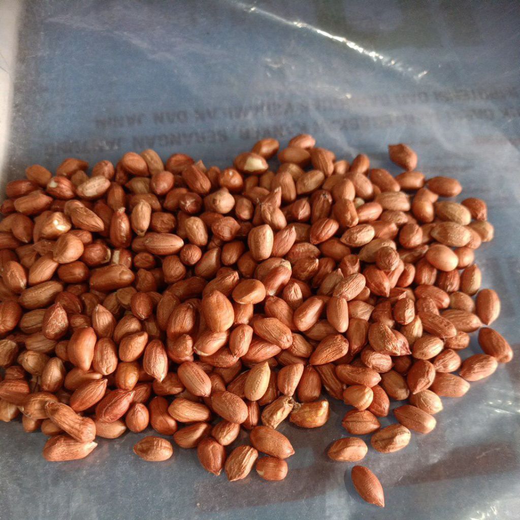 

KACANG TANAH 250 GRAM