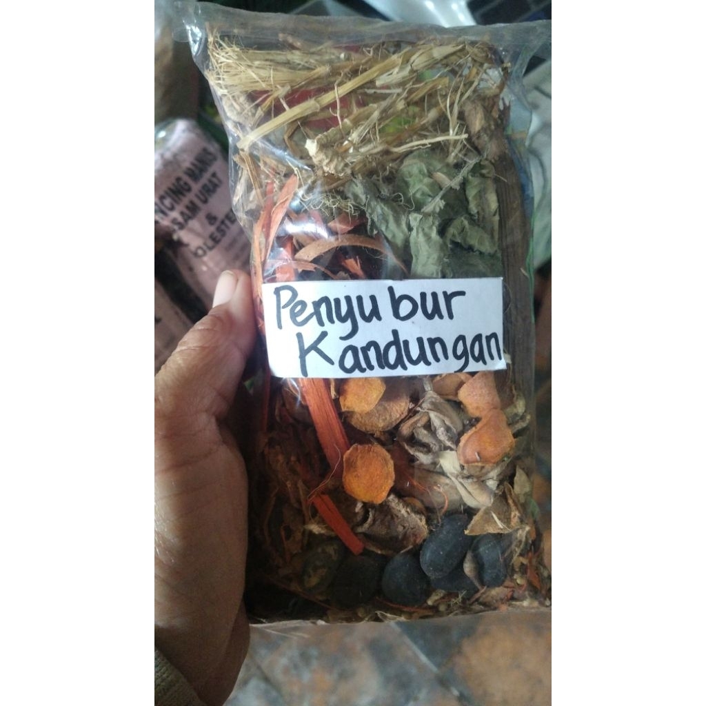 

Rempah Penyubur Kandungan (promil)