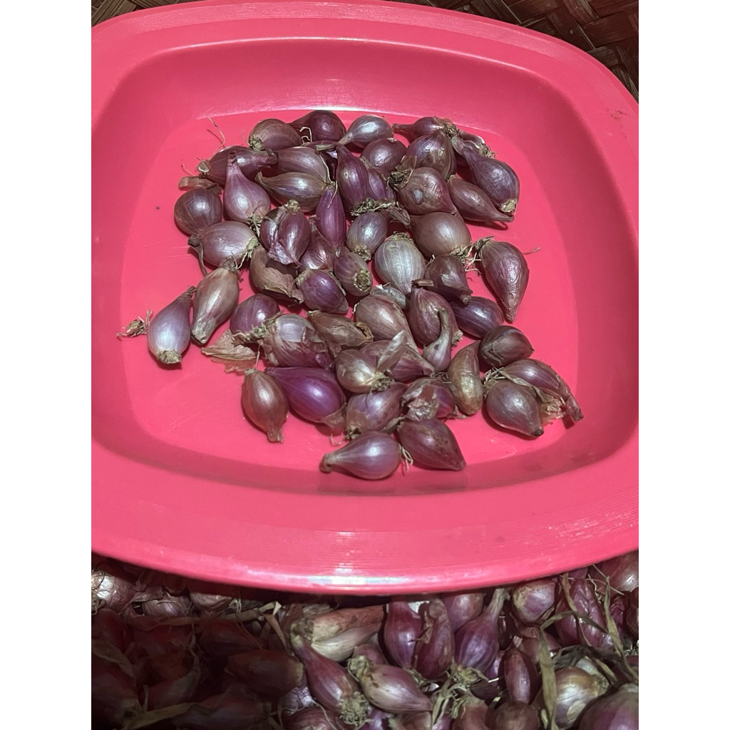 

Bawang Merah size Kecil/lembut/ulekan kering berat 1000gr
