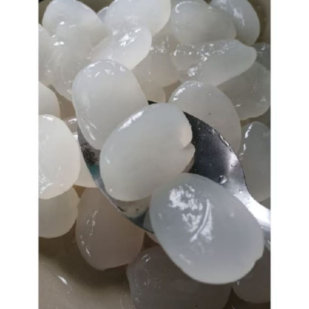 

Buah Kolang Kaling Buah Aren Segarr per 1kg Tinggi Kalsium Siap Di oalah untuk berbagai jenis kolak dan Minuman