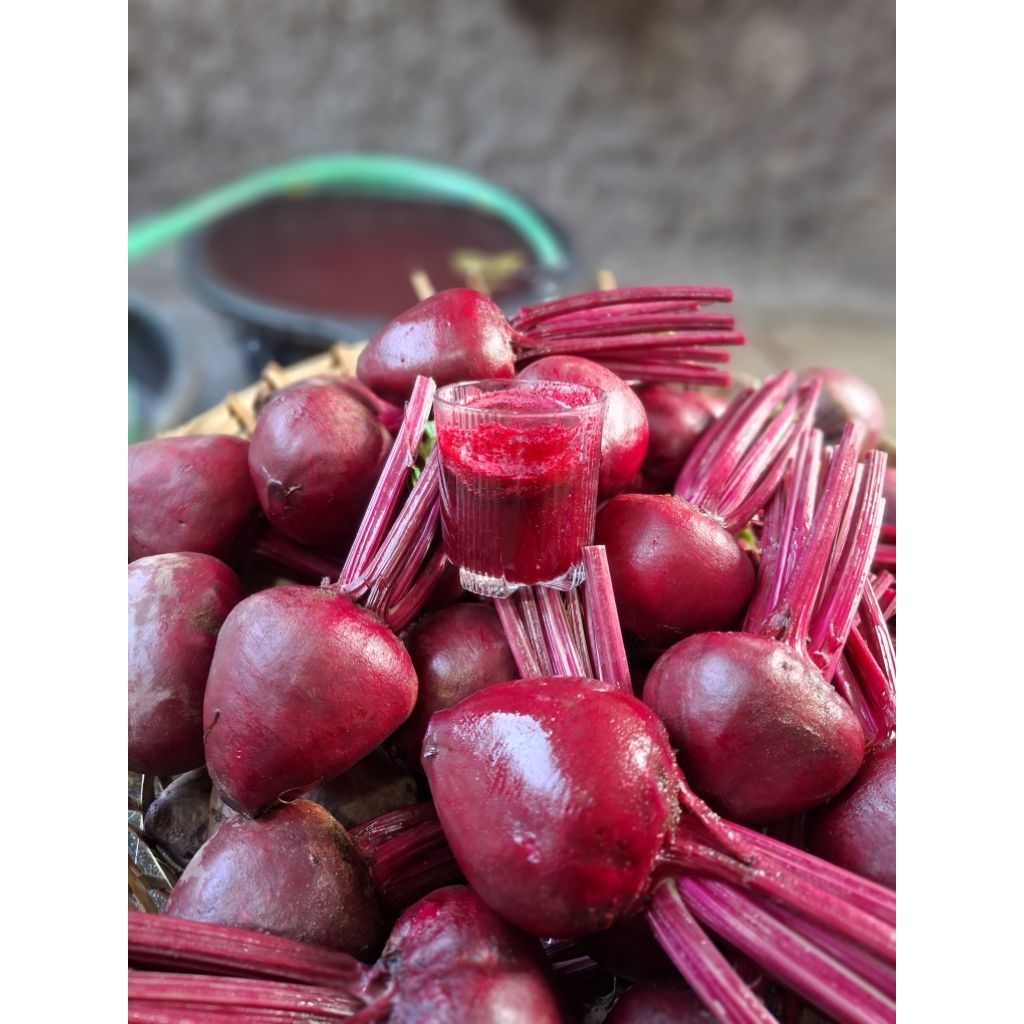 

Buah bit 1 kg beet root BATU MALANG fresh langsung dari kebun / free packing kardus