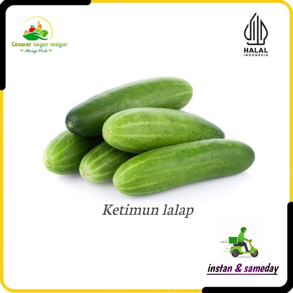 

Timun segar ( 500gram ) sayur fresh harian/ sayur lalapan/timun fresh/timun Hijau segar