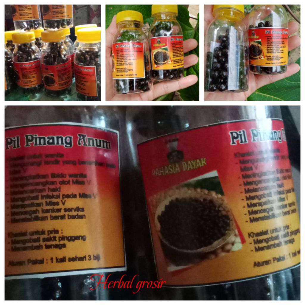 

ramuan dayak syarifah jamu pil akar pinang