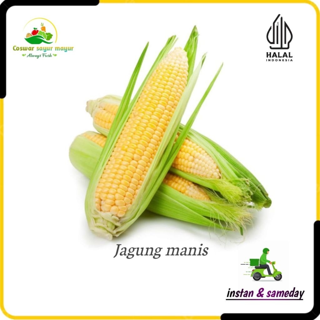 

{ 1 pcs } jagung manis jagung madu besar kualitas terbaik