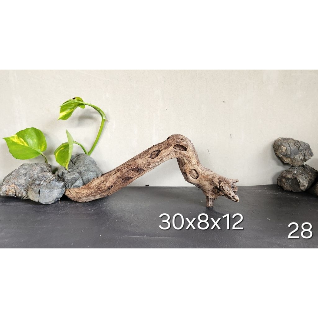 Kayu santigi tenggelam size S