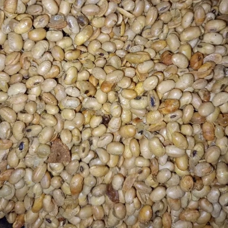 

Camilan kacang kedelai goreng 500gram enak gurih asin renyah murah viral