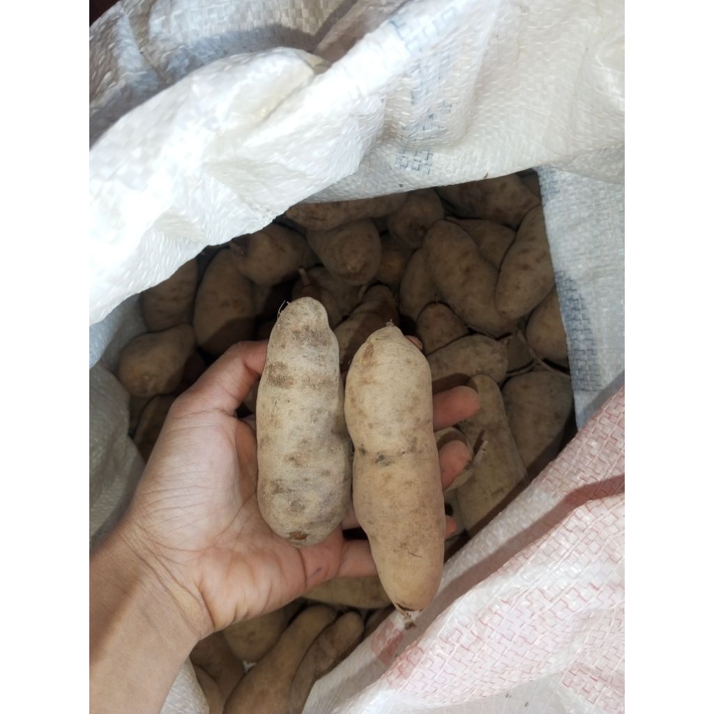 

GEMBILI Segar Berkualitas Super 1 kg