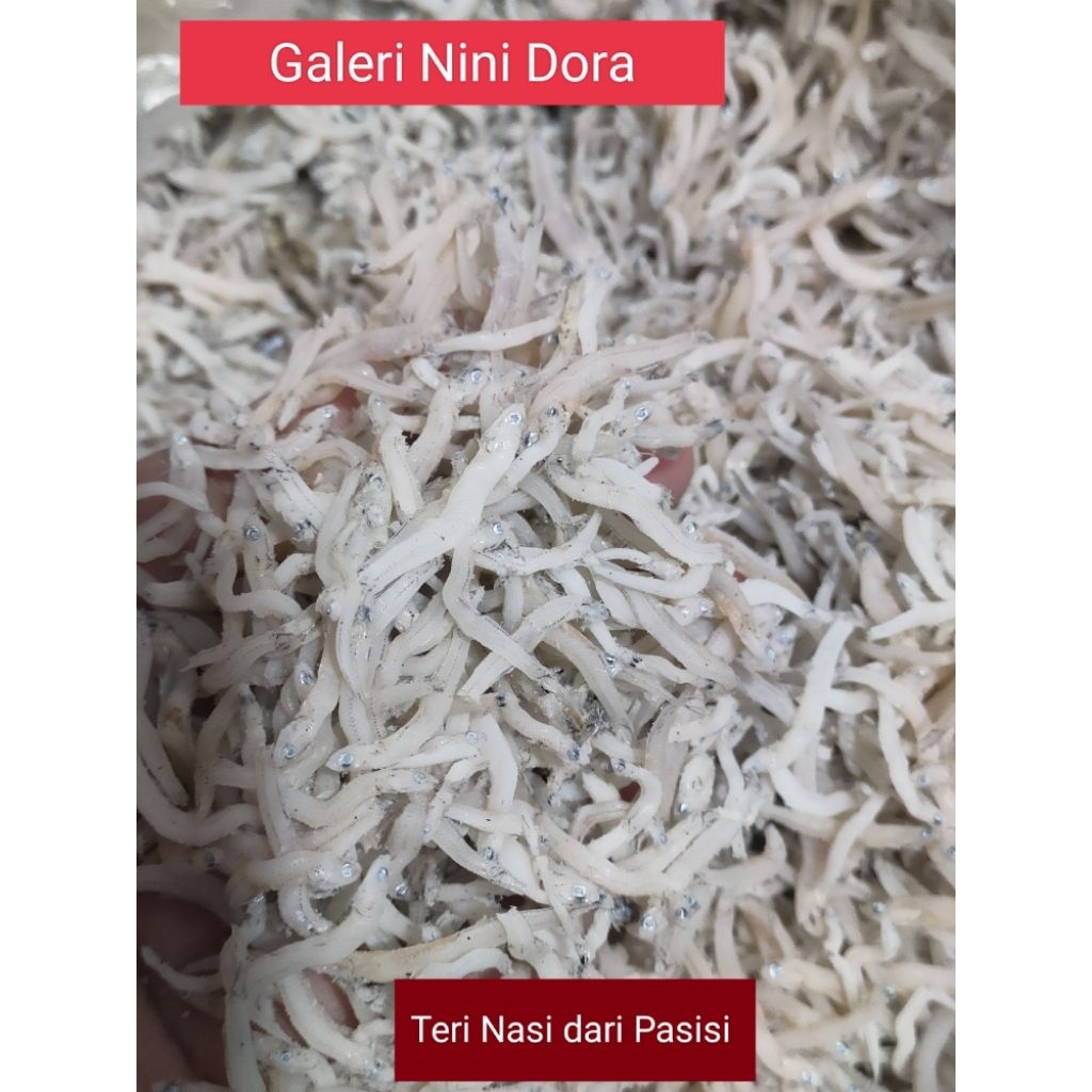 

Teri Nasi Pasisi / pengiriman kota Padang
