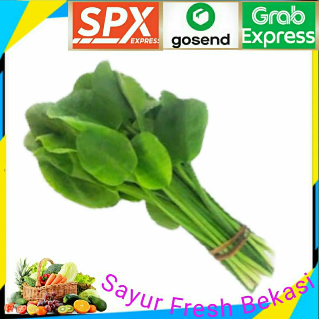 

Daun Genjer/Daun Pucuk Genjer 2 ikat.