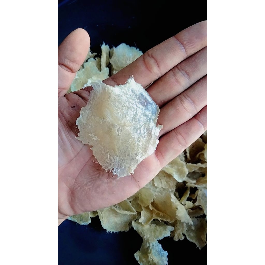 

emping Garut dan (kerupuk Garut)