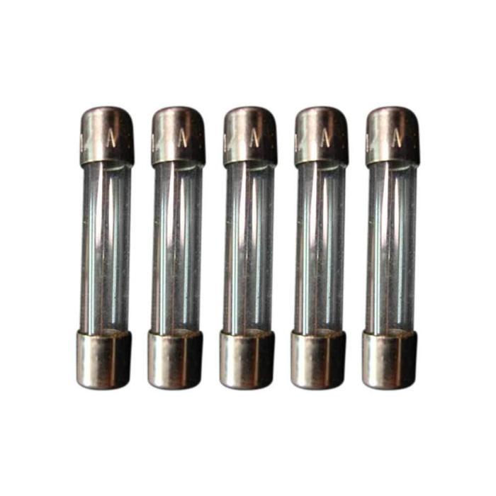 Fuse Kaca AGC-1/4R 0,25A 250V Fuse Fast Acting AGC-1/4R 0,25A 250V