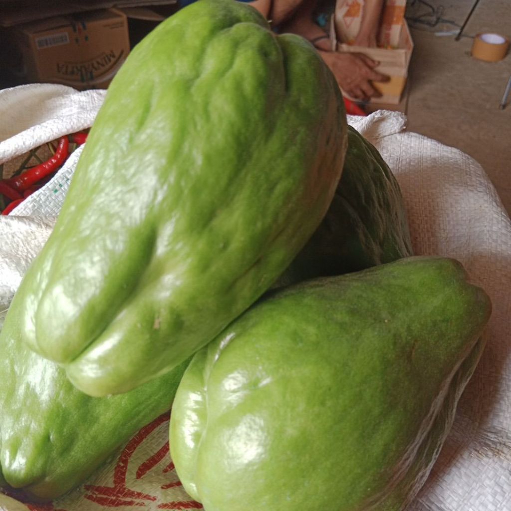 

Labu Siem Langsung Petani