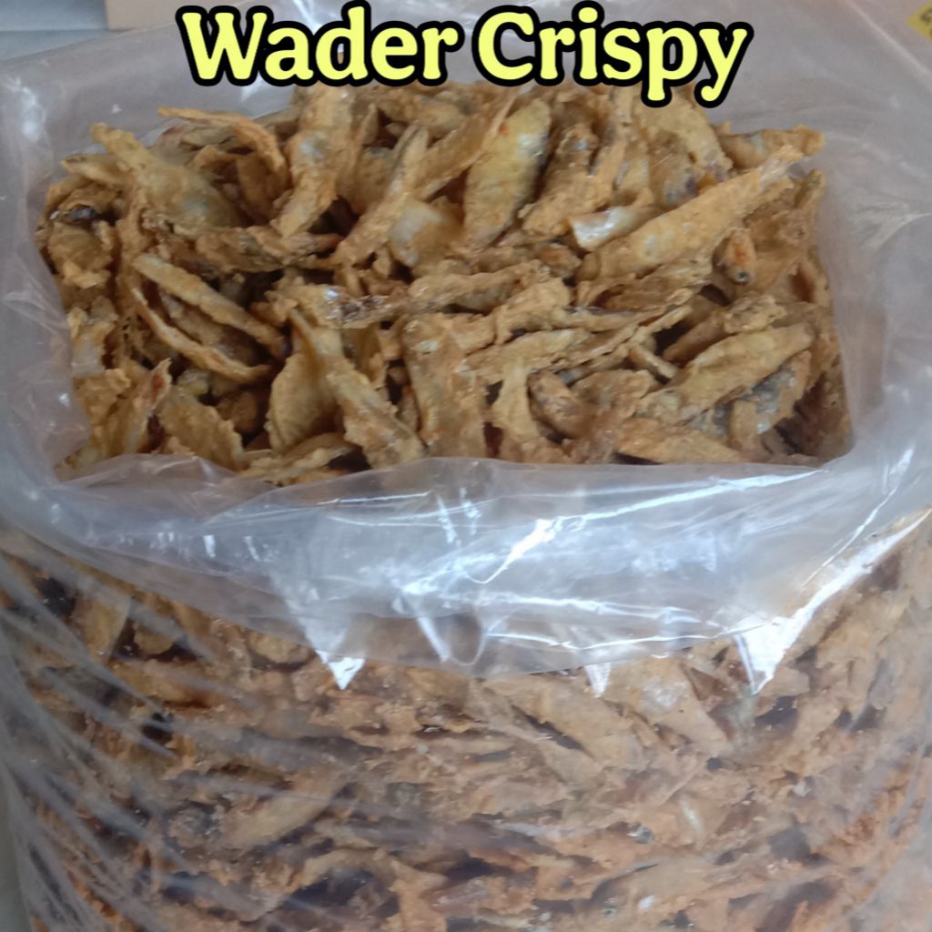 

Wader Crispy Renyah Gurih Cemilan Goreng 500 gram Keripik Peyek Khas Surabaya Madura Oleh Oleh Unik Camilan Food Snack Kripik Asin