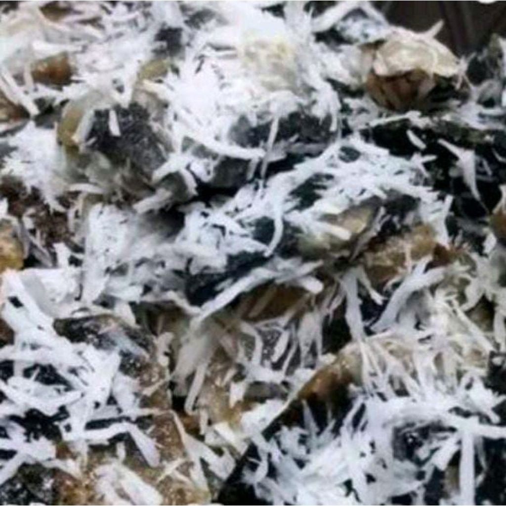 

gatot singkong kemasan 1kg