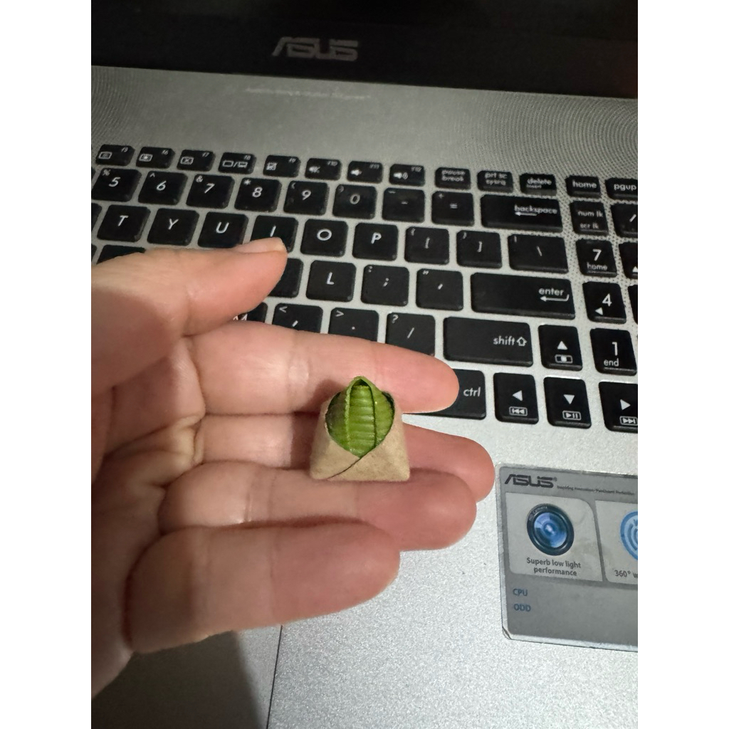 miniatur bungkusan nasi lemak