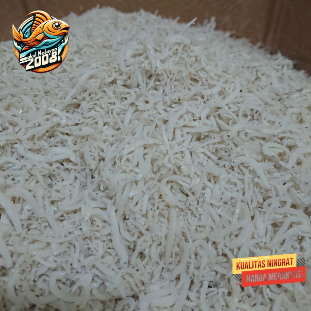 

Teri medan | ikan teri medan | halus