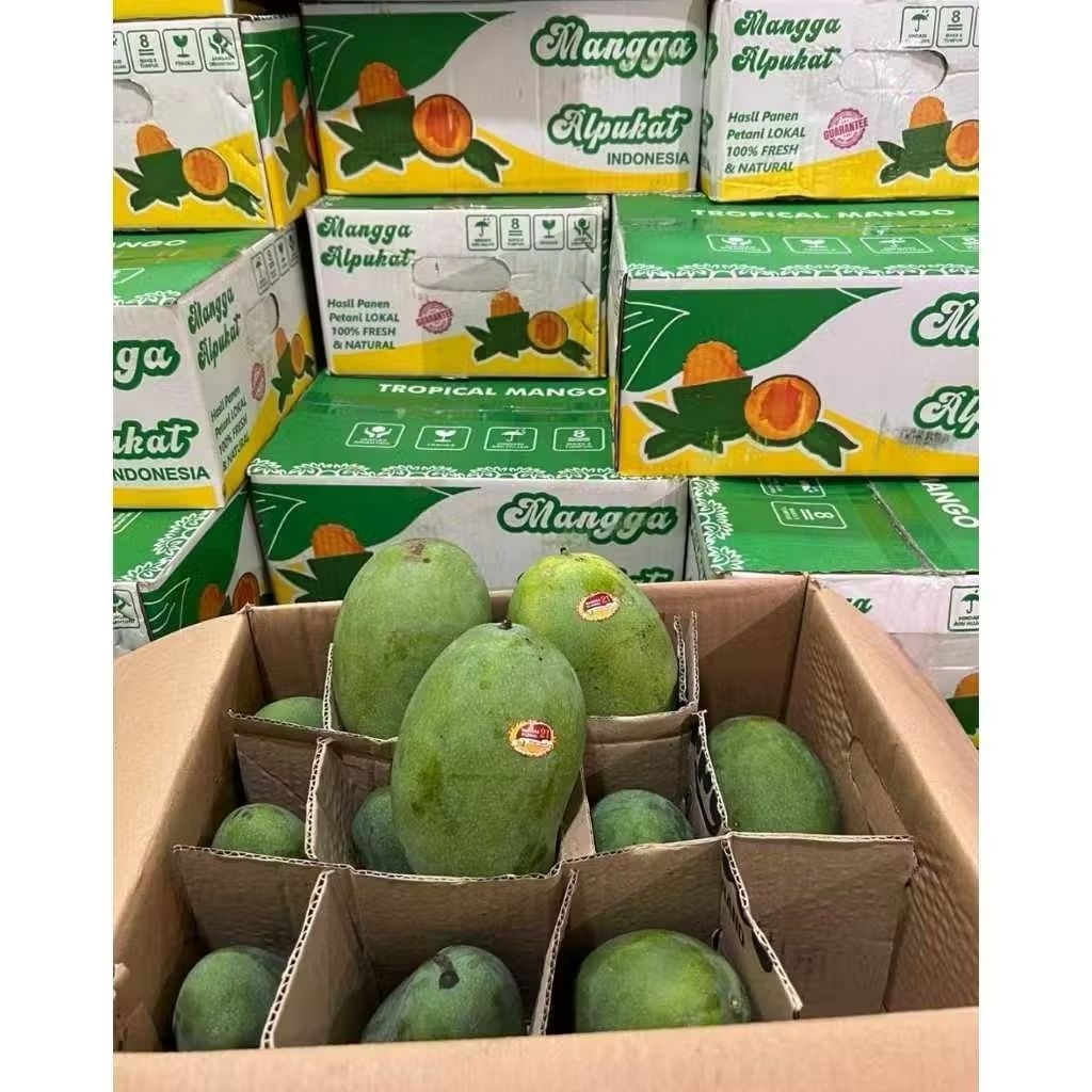 

Mangga Harumanis Alpukat Kolonal 21 Berat 10 kg / Box