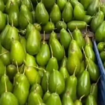 

ALPUKAT MENTEGAA SUPER KUNING DAN FRESHH 1KG