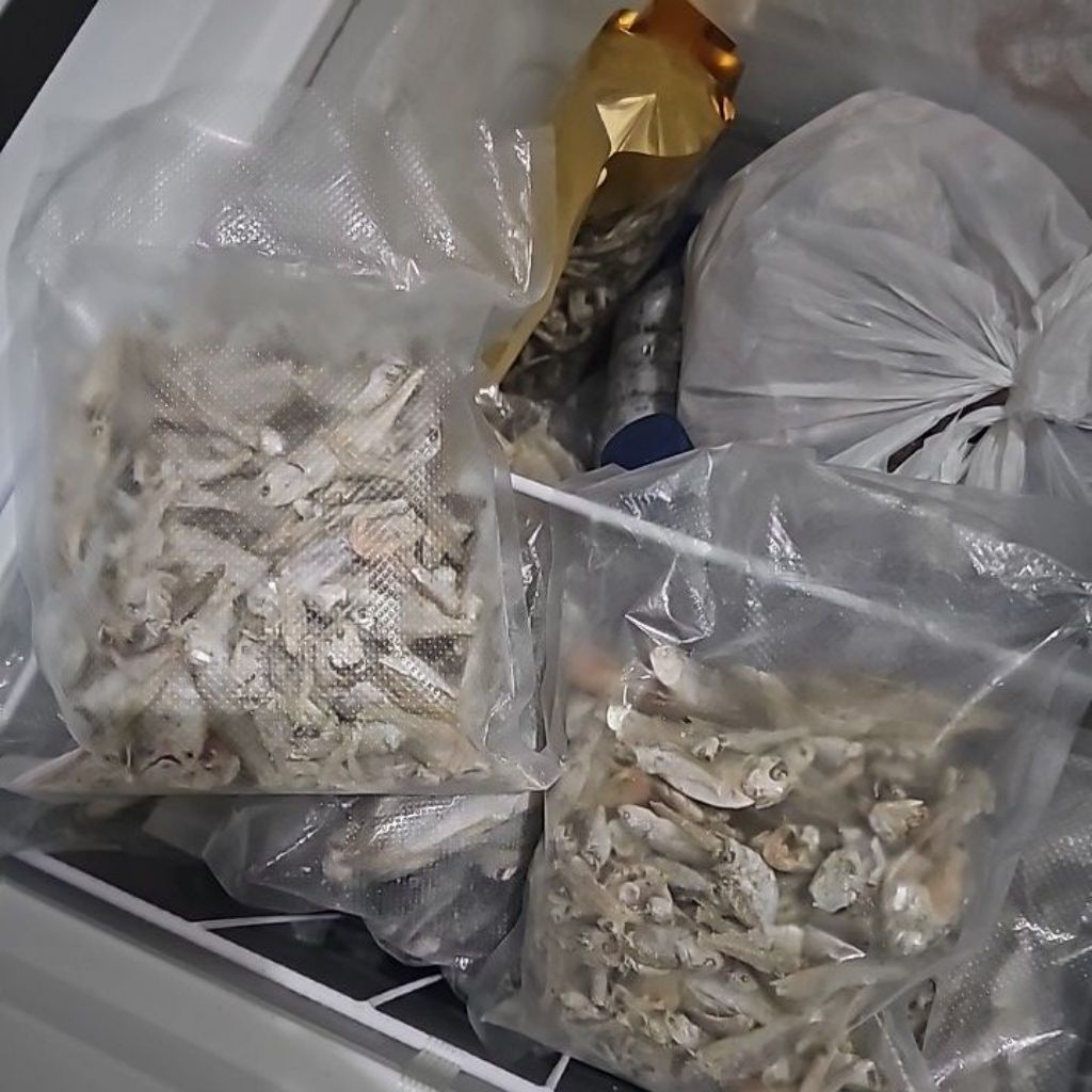 

Ikan sampah 250 gram