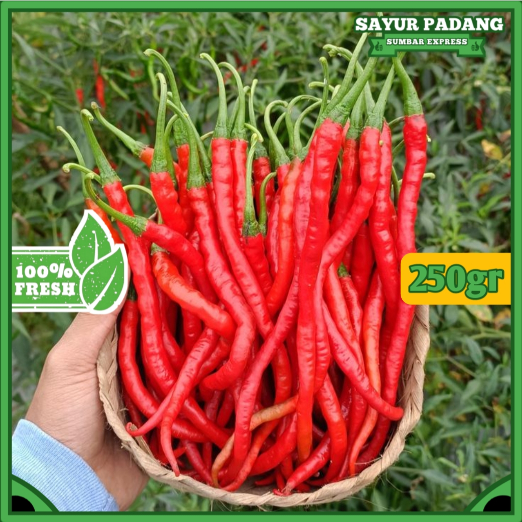 

CABE MERAH PADANG 250GR SUPER GRADE A FRESH