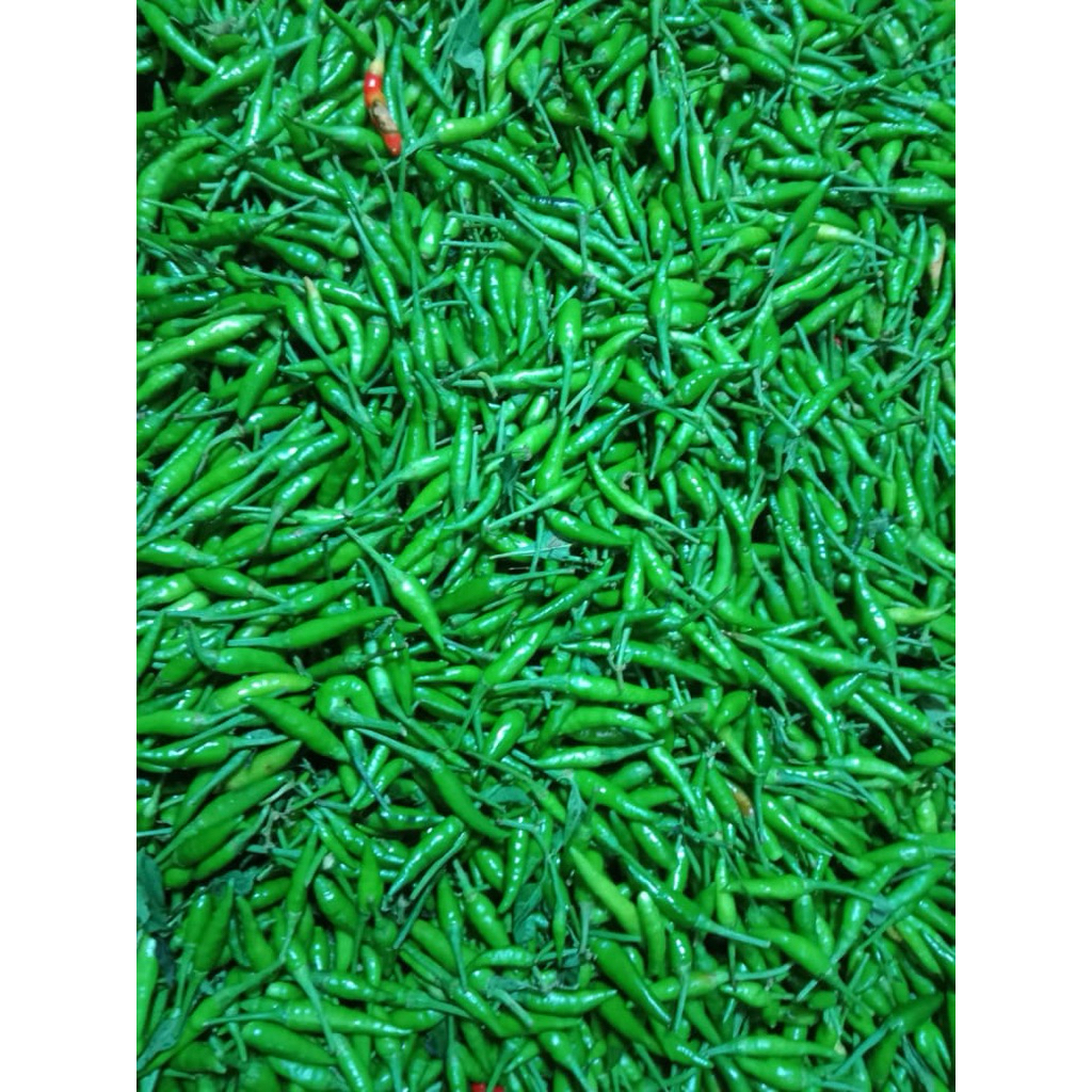 

Cabe Rawit Hijau Super 500 gram Gorengan