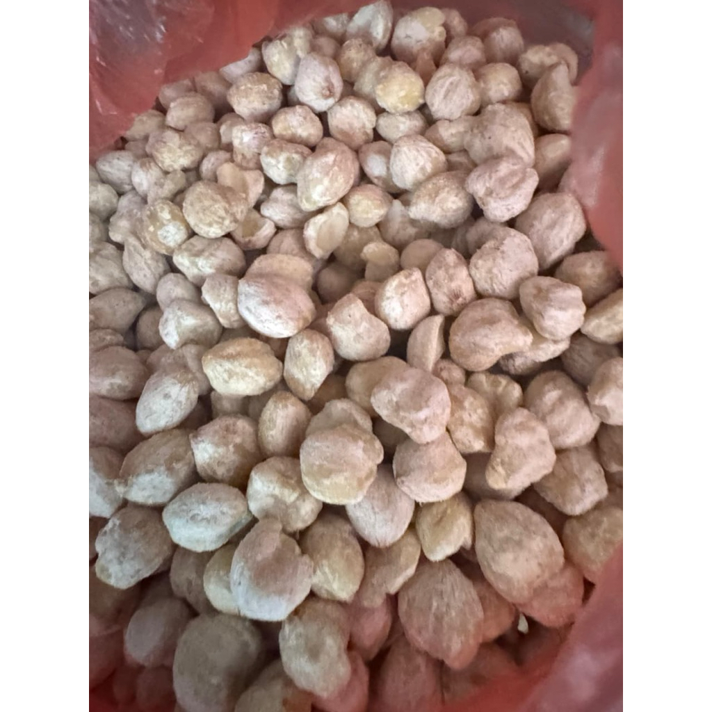 

Kemiri Bulat per KG Murah