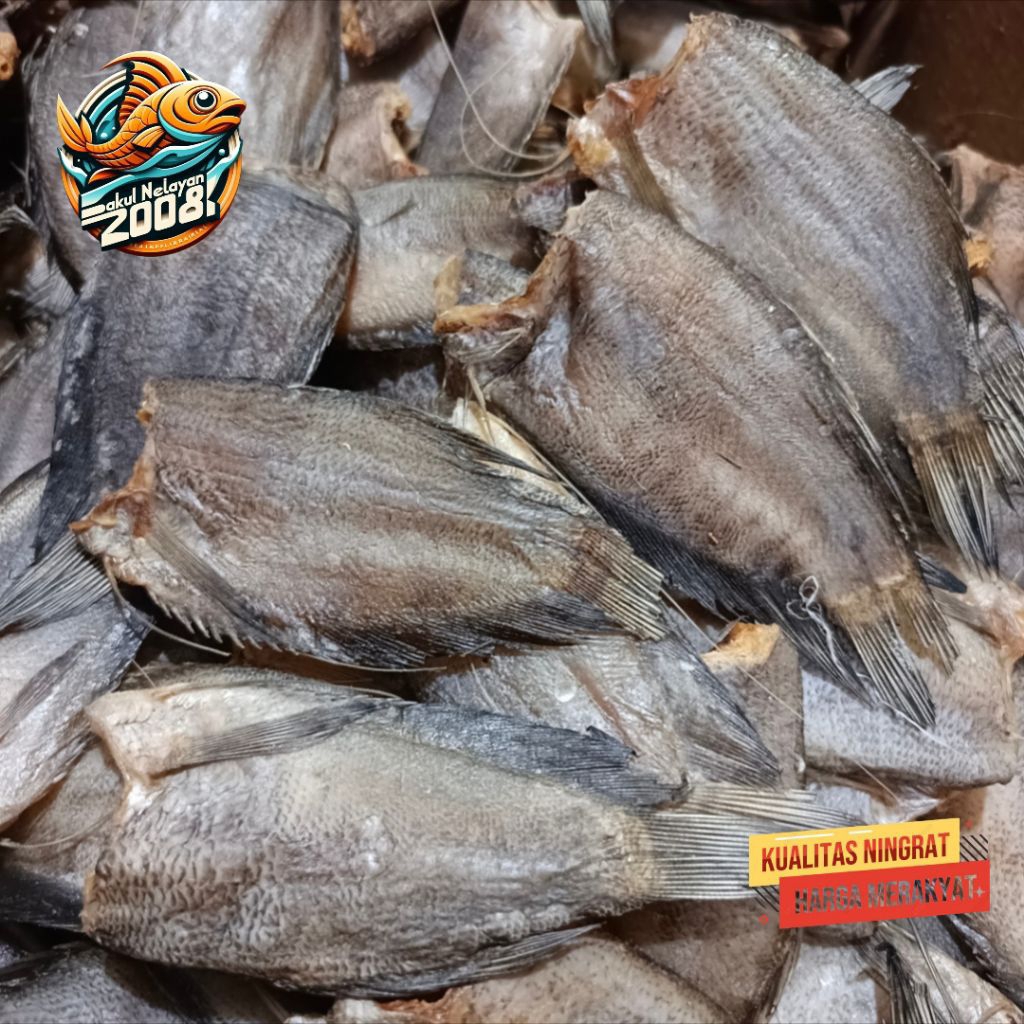 

Ikan sepat tanggung | ikan sepat asin