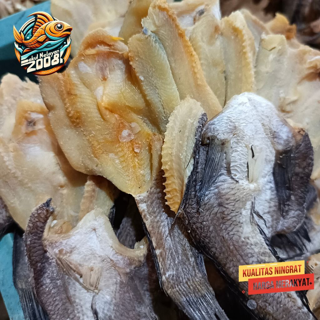 

Ikan gabus asin | Ukuran kecil