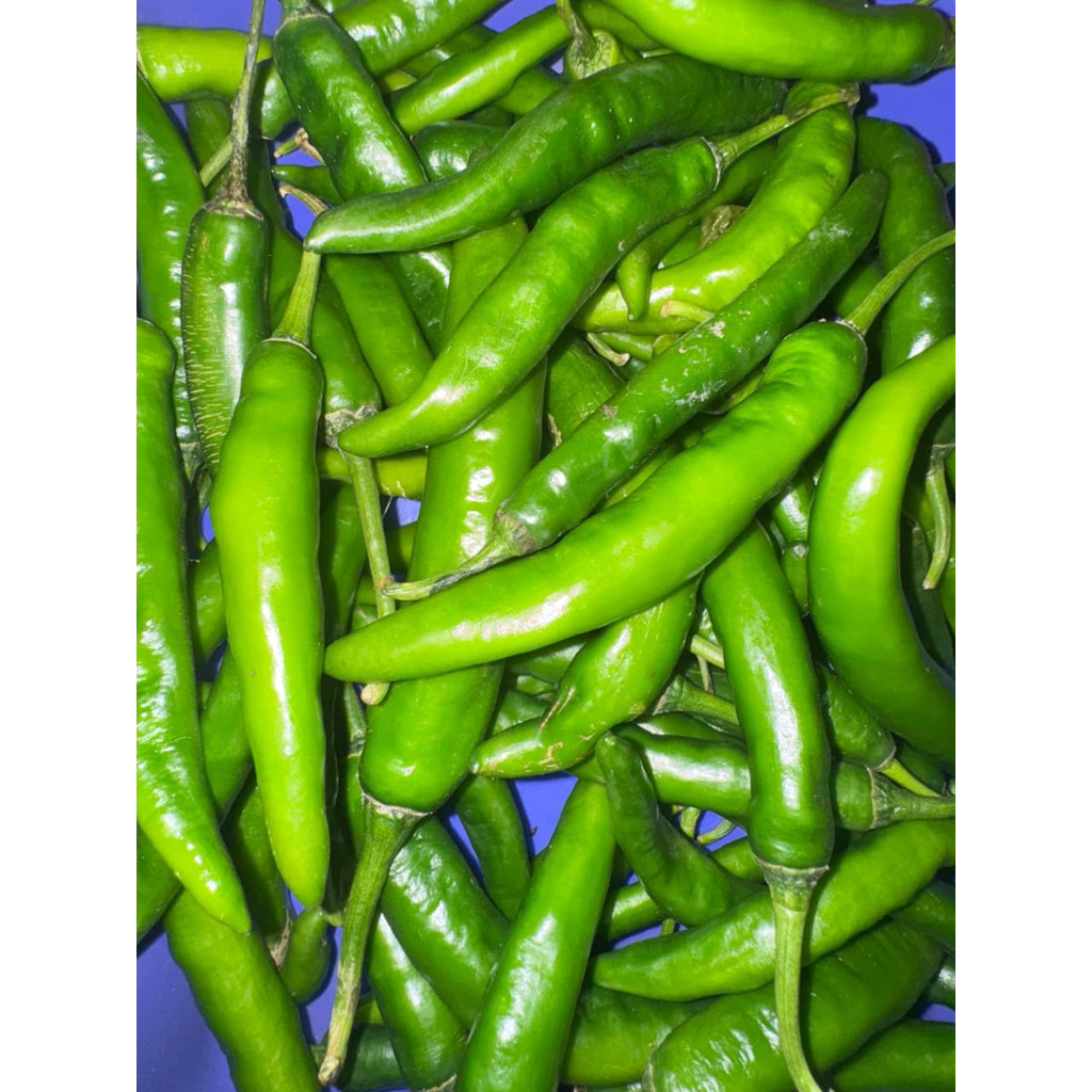 

Cabe Hijau Besar Fresh