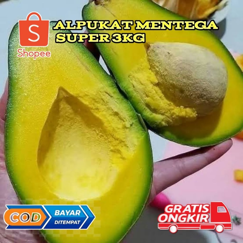 

Alpukat Mentega super kuning 3kg isi 4,5,6 kualitas supermarket ( kami kirimkan dengan keadaan mentah)