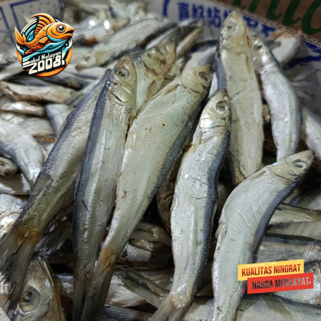 

Ikan asin japuh | ikan japuh ketan