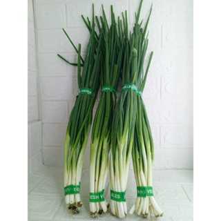 

Daun Bawang Wakegi 200 gram