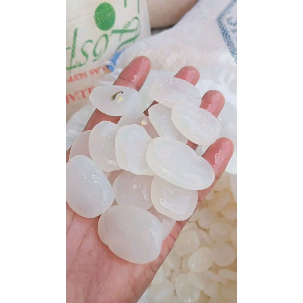 

Kolang Kaling Segar / Cangkaleng – 1 Kg – Siap Masak