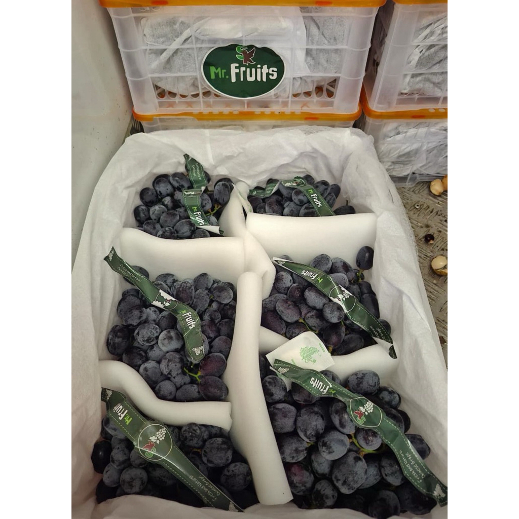 

ANGGUR AUTUM ROYAL RRC 5 KG