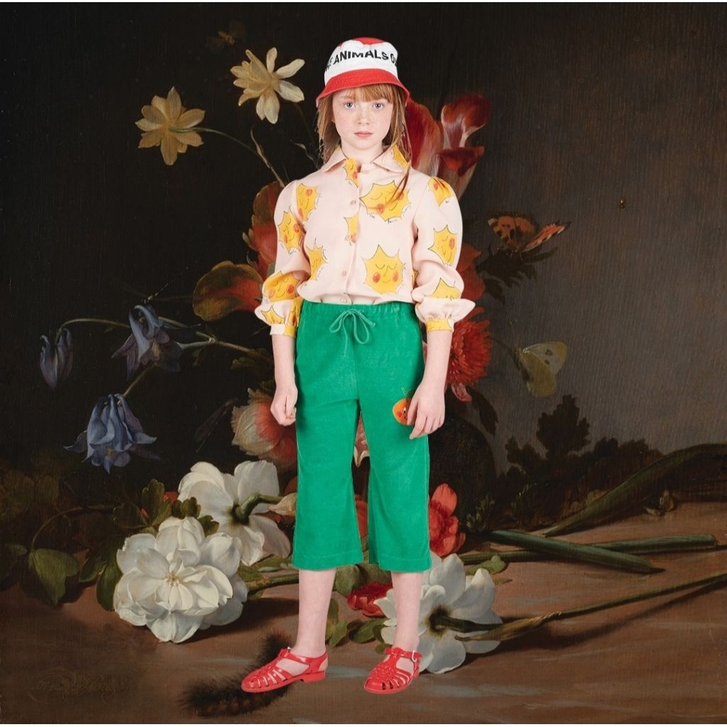 the animal observatory top