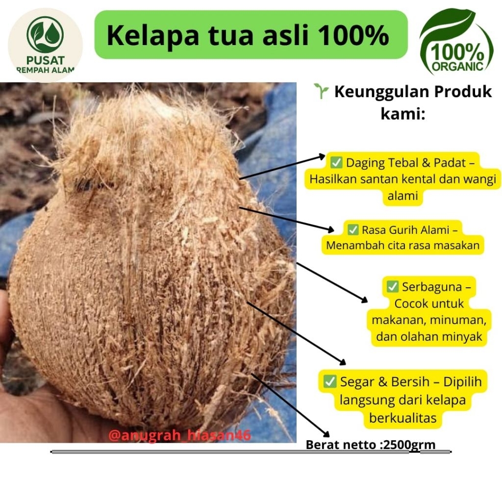 

Kelapa tua utuh segar asli 100%berkwalitas terbaik