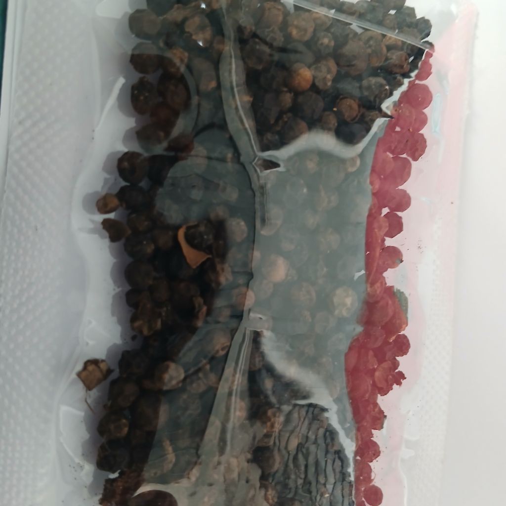 

LADA MERICA HITAM BERAT 30 Gram