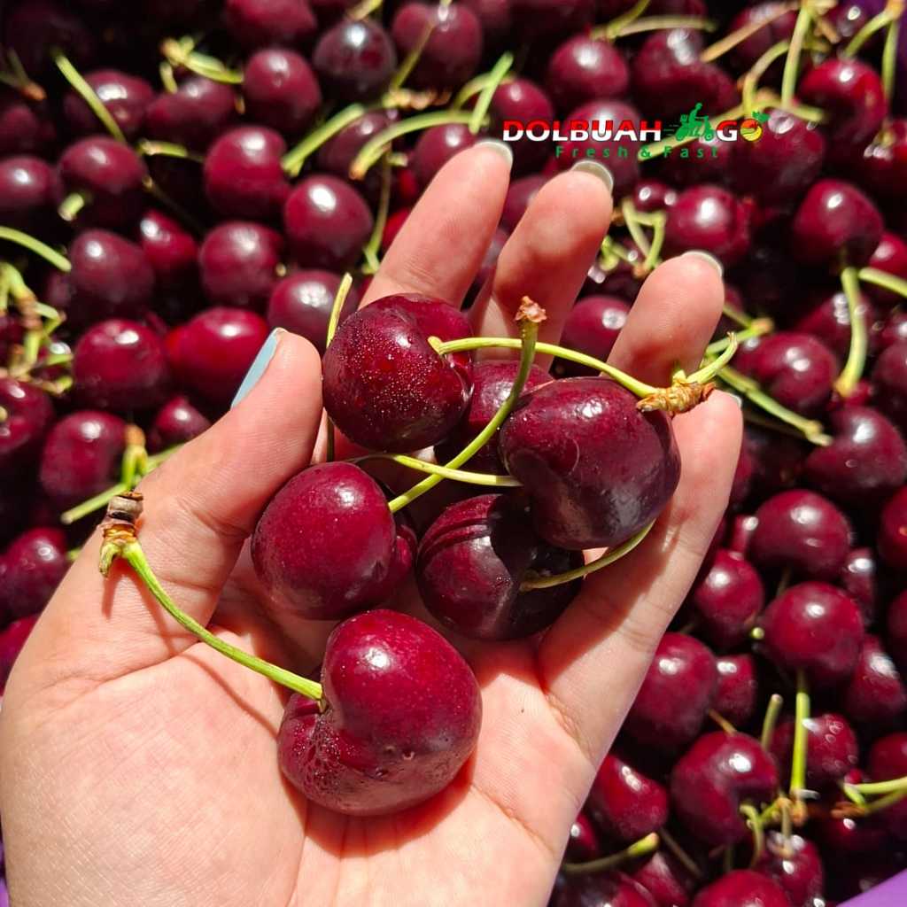 

Cherry California USA Manis Juicy Fresh Import - INSTAN SEMARANG - Dolbuah