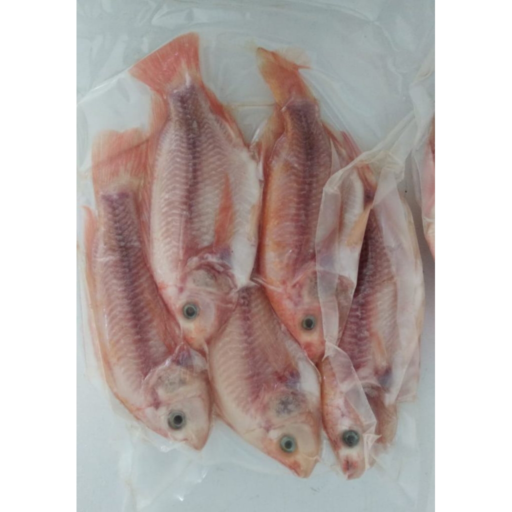 

Ikan Nila Frozen