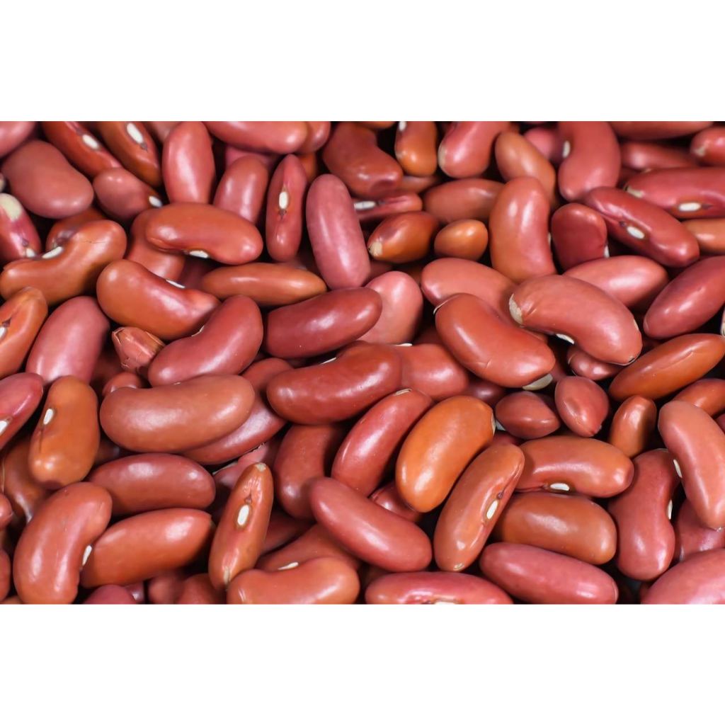 

KACANG MERAH BERAT 1 KILOGRAM