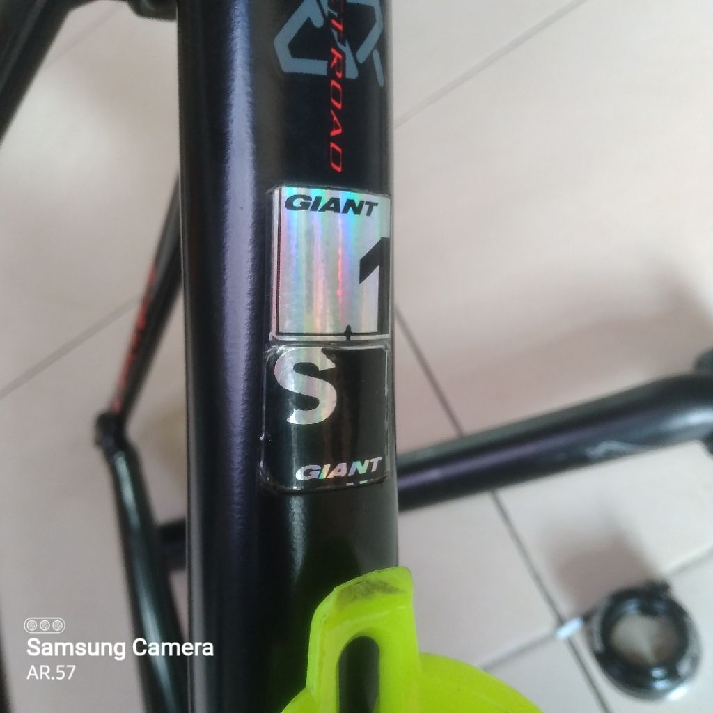 frameset giant tcr allux size S